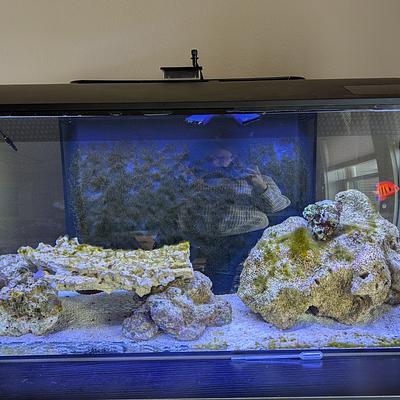 32.5 gallon tank photo